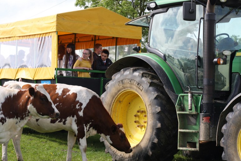 School visit Trailer Ride with cows